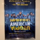 AMERICAN UTOPIA / 角砂糖の日