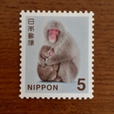コレクションのはなし