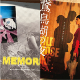 『その他の外国文学」の翻訳者/MEMORIA/鵞鳥湖の夜