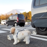コアな集まり