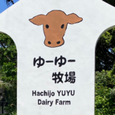 離島でリフレッシュ