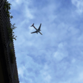 旅に出たいですね