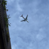 旅に出たいですね