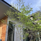 庭とアプローチの植栽