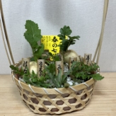 春の七草
