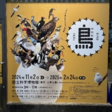 鳥展