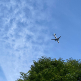 旅に出たいですね