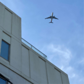 旅に出たいですね