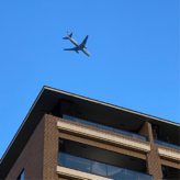 旅に出たいですね