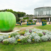 BOTANICA MUSEUM